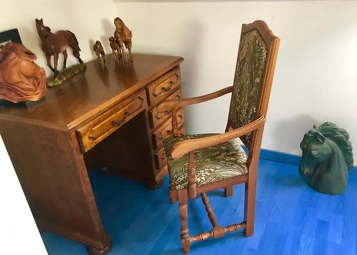 Venez Visitez Homestay Calais